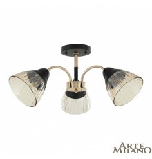 Люстра на штанге Arte Milano Napoli 320119/3 FG+BK