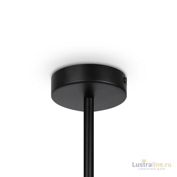 Люстра на штанге Maytoni Memory MOD177PL-04B