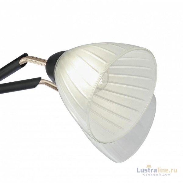 Люстра на штанге Arte Milano Napoli 324108/5 BK+FG Люстра на штанге Arte Milano Napoli 324108/5 BK+FG