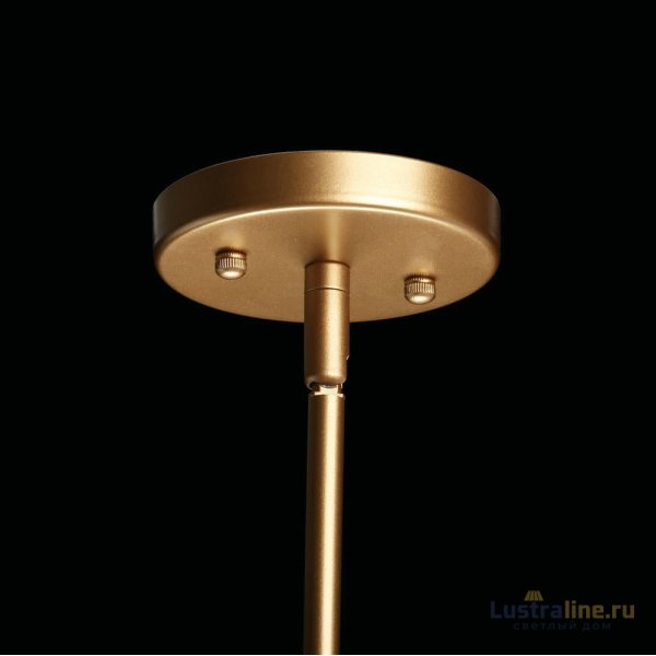Люстра на штанге MW-Light Илоника 451011704
