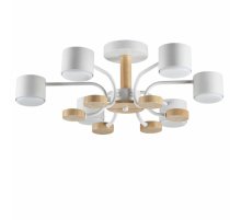 Люстра на штанге Lumion Rondo 8231/6C