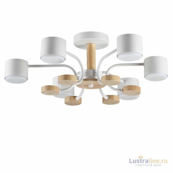 Люстра на штанге Lumion Rondo 8231/6C