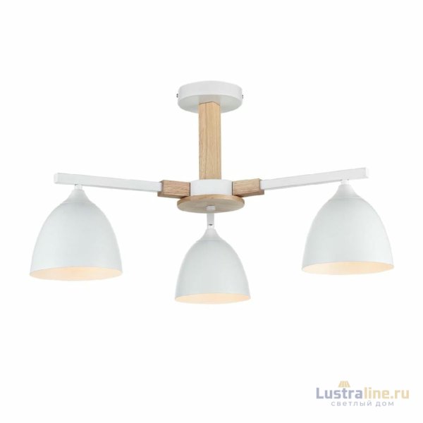 Люстра на штанге Lumion Colange 8095/3C
