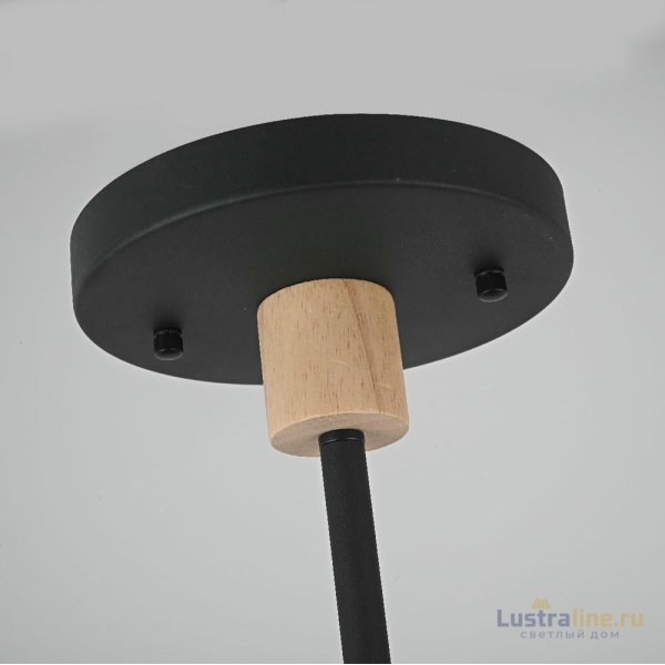 Люстра на штанге ImperiumLoft Turna Dbl 229084-26