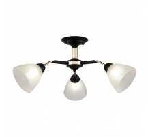 Люстра на штанге Arte Milano Napoli 324108/3 BK+FG