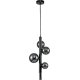 Подвесная люстра Indigo Canto 11026/5P Black V000238