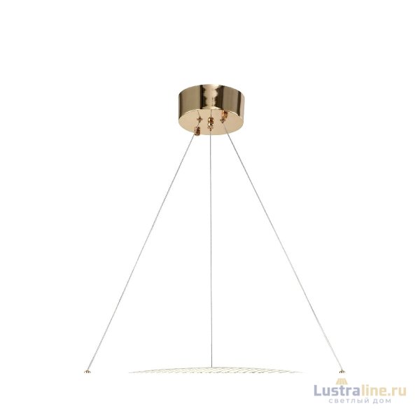 Подвесная люстра Zortes Ringer ZRS.57792.116