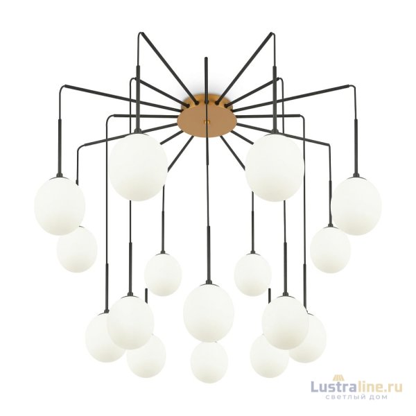 Подвесная люстра Maytoni Branch MOD176PL-16G
