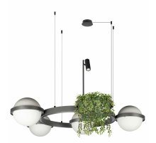Подвесная люстра Loft IT Jardin 10121/4 Dark grey