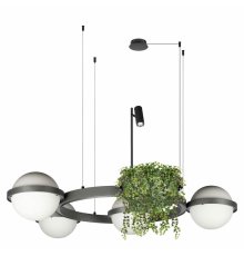 Подвесная люстра Loft IT Jardin 10121/4 Dark grey