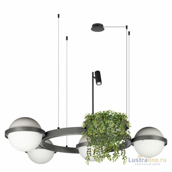 Подвесная люстра Loft IT Jardin 10121/4 Dark grey