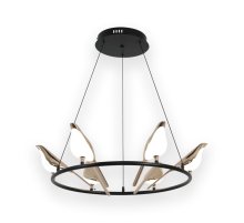 Подвесная люстра Kink Light Арси 08446-6A,33