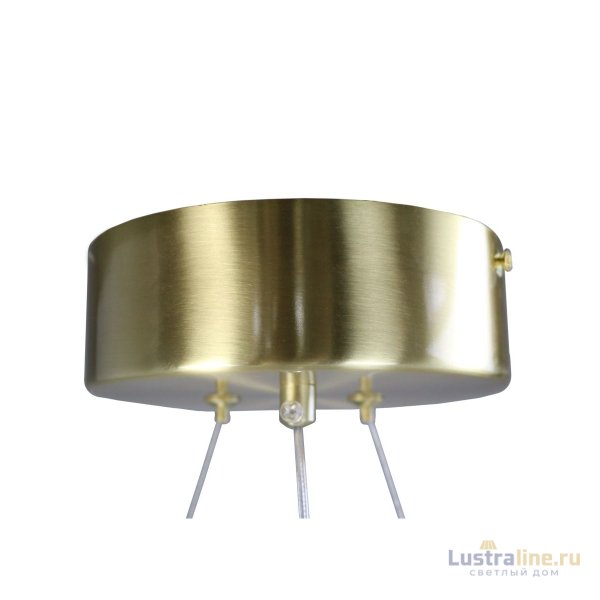 Подвесная люстра Zortes Kranz ZRS.1585.21