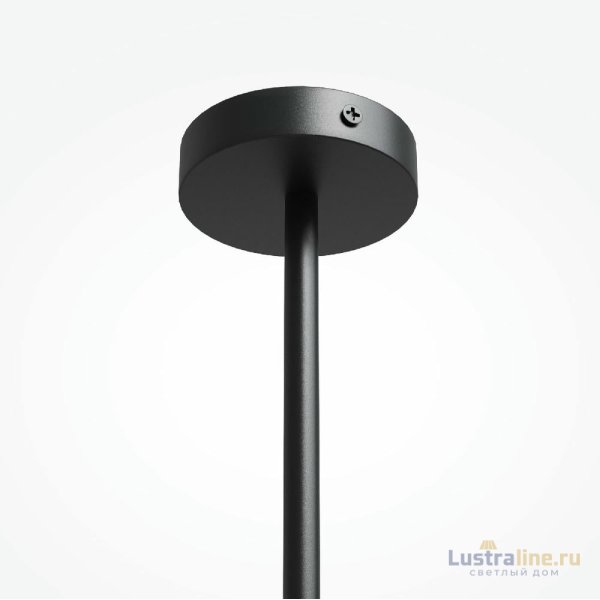 Подвесная люстра Maytoni Organic MOD225PL-04B