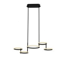 Подвесная люстра DeLight Collection MD20001002-5A matt black