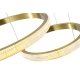 Подвесная люстра Zortes Lidia1 ZRS.30111.63