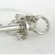 Подвесная люстра Lussole Loft Clovis LSP-8744
