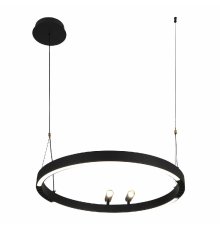 Подвесная люстра F-Promo Slinga 4474-1P
