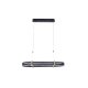 Подвесная люстра Zortes Duble-R ZRS.30505.92