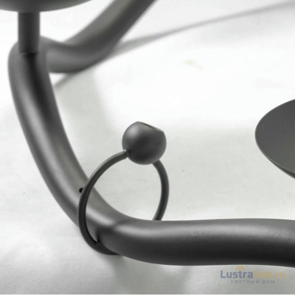 Подвесная люстра Lussole Lgo LSP-0212 Подвесная люстра Lussole Lgo LSP-0212