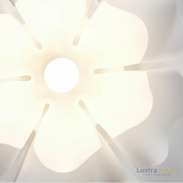 Подвесная люстра Lightera Chad LE116L-60W