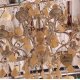 Подвесная люстра Favourite Albero 1763-5P