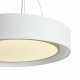 Подвесная люстра Freya Cozy FR6170PL-L52BS
