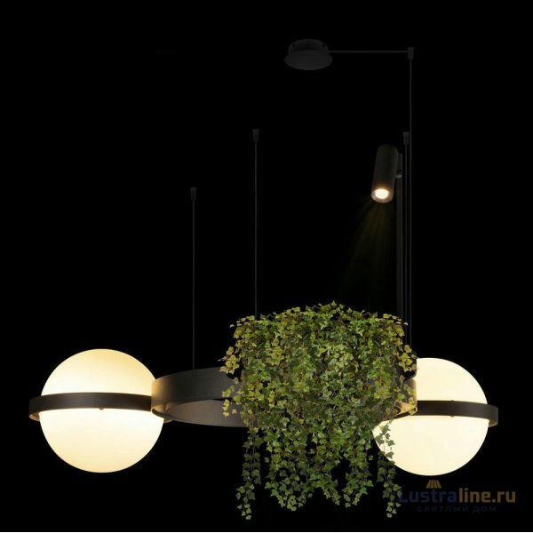 Подвесная люстра Loft IT Jardin 10121/2 Dark grey