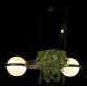 Подвесная люстра Loft IT Jardin 10121/2 Dark grey