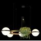 Подвесная люстра Loft IT Jardin 10121/4 Dark grey