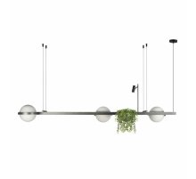 Подвесная люстра Loft IT Jardin 10121/C Dark grey