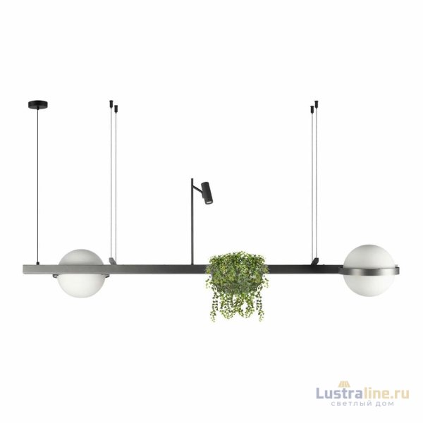 Подвесная люстра Loft IT Jardin 10121/D Dark grey