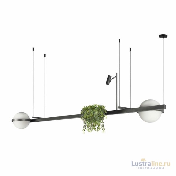 Подвесная люстра Loft IT Jardin 10121/C Dark grey