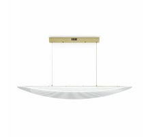 Подвесная люстра Freya Cloud FR5441PL-L40G