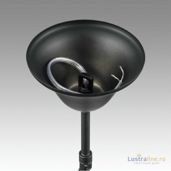 Подвесная люстра Lumion Nana 8106/8 Подвесная люстра Lumion Nana 8106/8