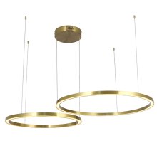 Подвесная люстра Zortes Lucia ZRS.25291.88
