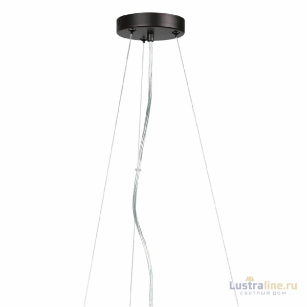 Подвесная люстра Lumion Zarina 8007/6