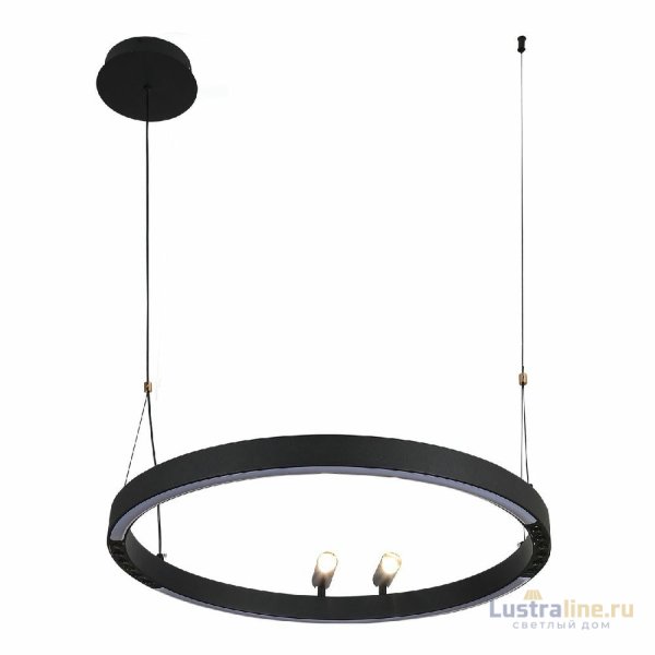 Подвесная люстра F-Promo Slinga 4474-1P