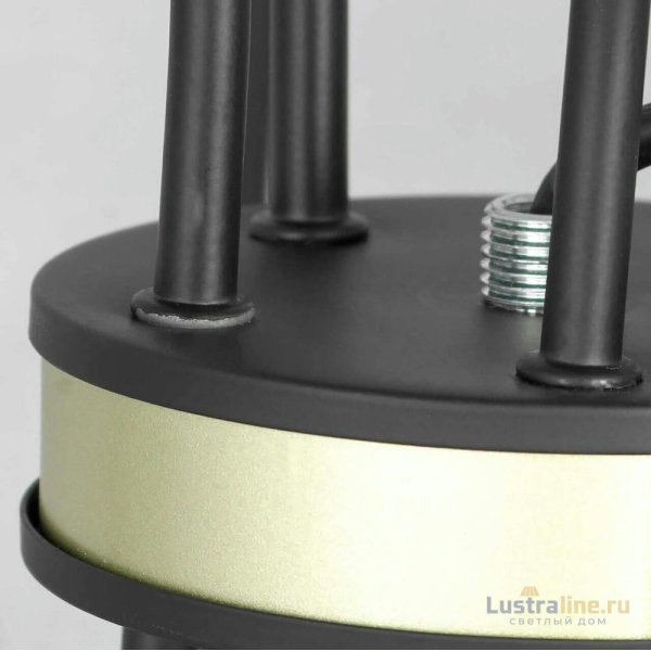 Подвесная люстра Lussole Lgo Roosevelt LSP-8198 Подвесная люстра Lussole Lgo Roosevelt LSP-8198