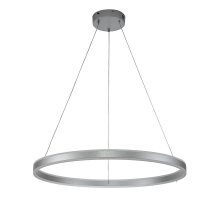 Подвесная люстра Indigo Galass 14001/1P Silver V000018L Подвесная люстра Indigo Galass 14001/1P Silver V000018L