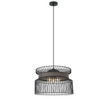 Подвесная люстра Favourite Korb 2363-2P