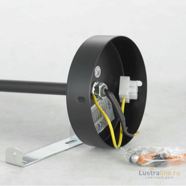 Подвесная люстра Lussole Loft Fishers LSP-8798