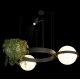 Подвесная люстра Loft IT Jardin 10121/2 Dark grey