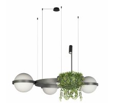 Подвесная люстра Loft IT Jardin 10121/3 Dark grey