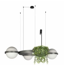 Подвесная люстра Loft IT Jardin 10121/3 Dark grey