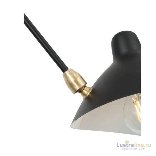 Подвесная люстра ST Luce Spruzzo SL305.402.06