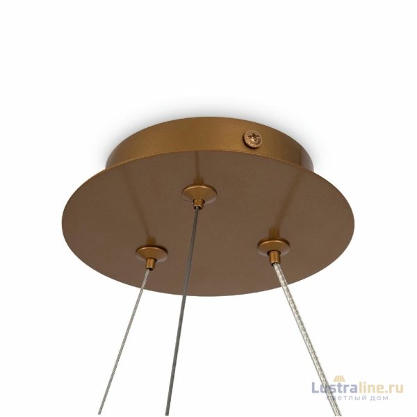 Подвесная люстра Maytoni Balance MOD317PL-04G
