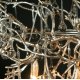 Подвесная люстра Loft IT Bijout 10067/1500 SG