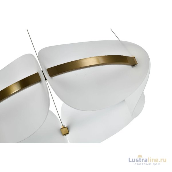 Подвесная люстра Zortes Moon ZRS.1210.60