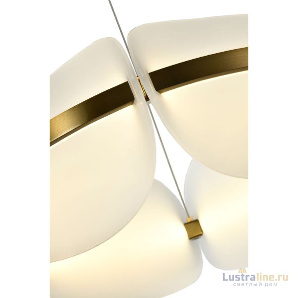 Подвесная люстра Zortes Moon ZRS.1210.60